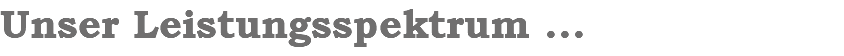 Unser Leistungsspektrum ...